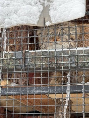 ������� �����-���������� �������, ��� �� ����� ����� ������������ ����, ������� �� ��� ����� �������� �� ��������