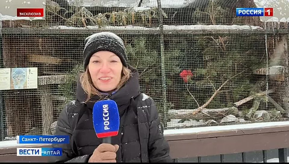 ����� ������ ���� �� �������� ������������� � ������� ����� ������ ���������