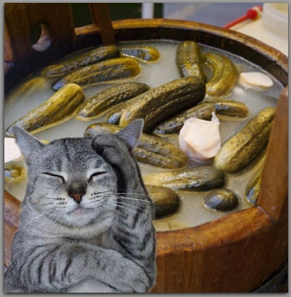 Эффективные способы избавиться от похмелья и быстро протрезветь дома