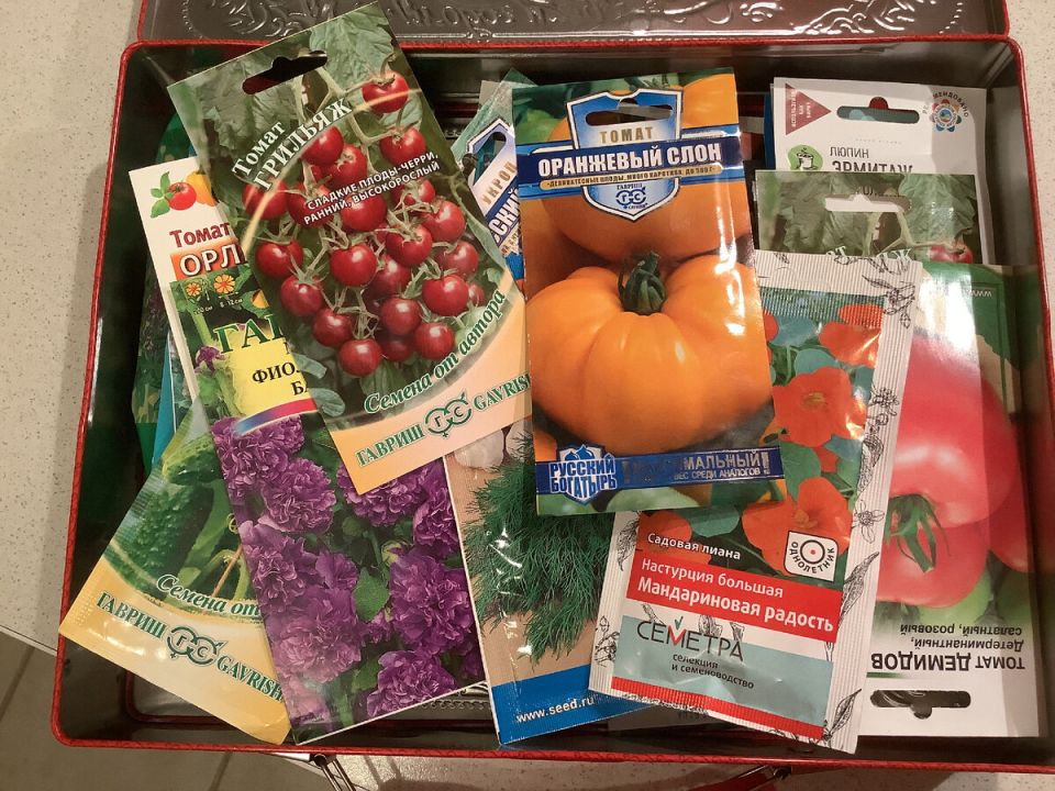 Подготовка к новому сезону: ревизия семян и планирование урожая