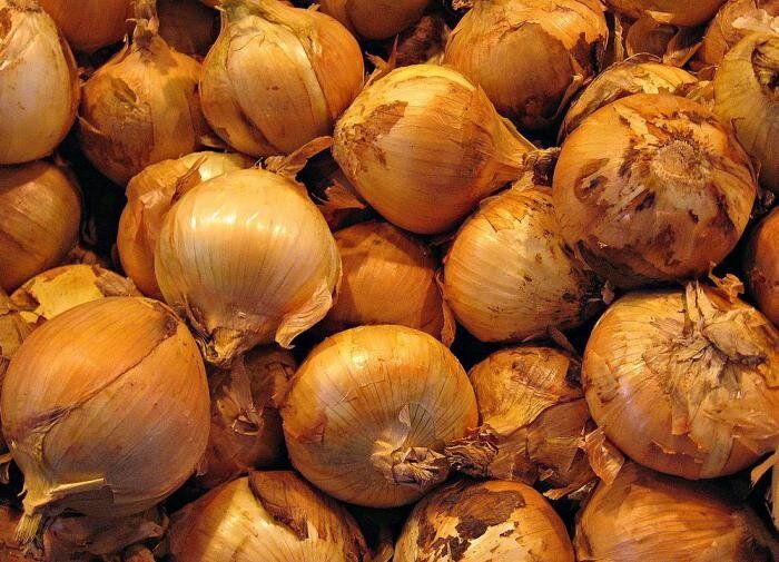 Как правильно хранить лук-севок: секреты долгого хранения