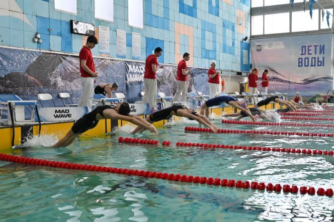 ����� 700 ����������� �� ������� �������� ������� ������� ������������ ����� ����� � ��������