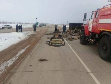 Смертельная аварии с участием лесовоза произошла на трассе К-21