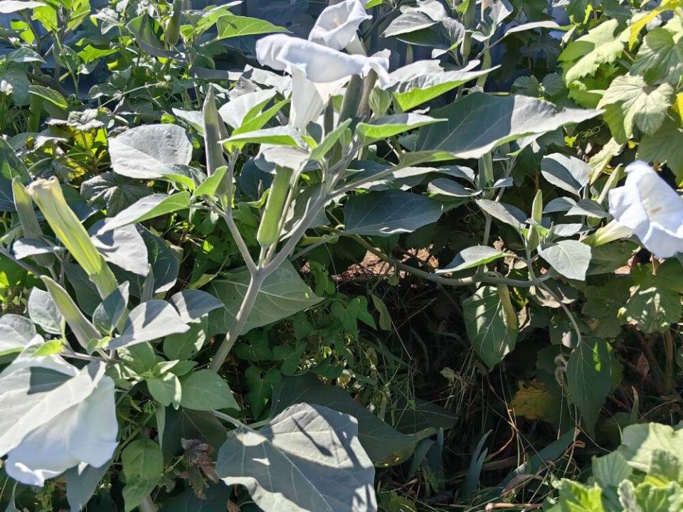 �������� ��������: ������� ������ ��� ���������� ������?