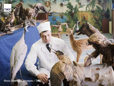 #архив_ТАСС_Сибирь. Кандидат медицинских наук Марат Фарнель в музее биофака Барнаульского университета среди чучел животных
