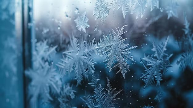 В Алтайском крае и Барнауле прогнозируется похолодание