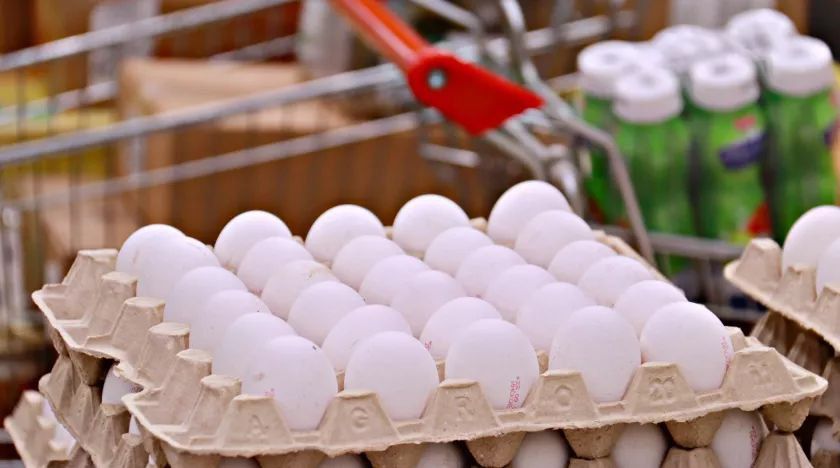 ��� � ��������� ���� �� ��� ���������� ���� �� ������ � ������