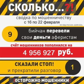 Почти 5 миллионов за неделю: бийчане продолжают терять деньги на старых схемах