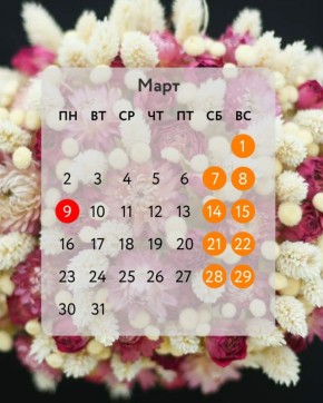 �� ������� ������� �������� �� 23 �������? �� ���������������, ������� 8 �����!