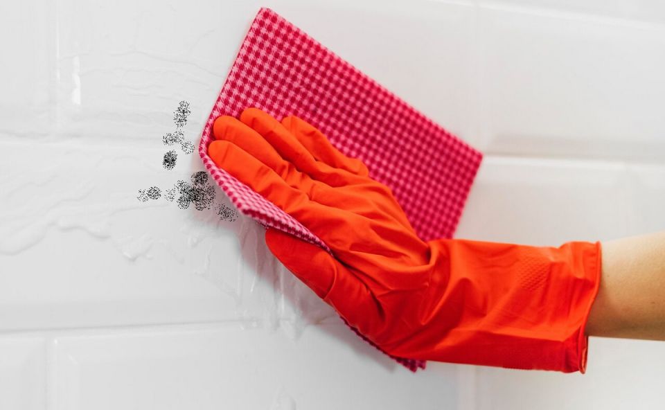 ��� ���������� �������� ������ � ������� � ����� ����