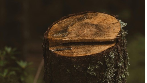 ���������� �������� ������� �� ������� ������ �� ����������� �������