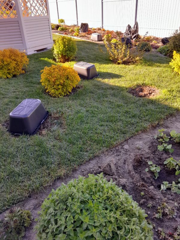 Как защитить сад от неожиданных морозов