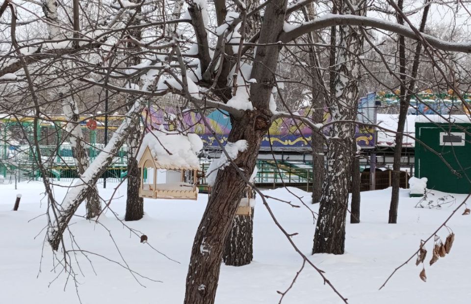 ����� ������� ������ � ������� 2026 ����?