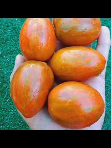 ����� ���� ������ ����: ���������� � ������������� ����� ��� ������ �������