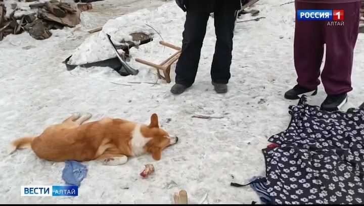 � ������ ��������� ��� ���� ������ ������ ��������� ������