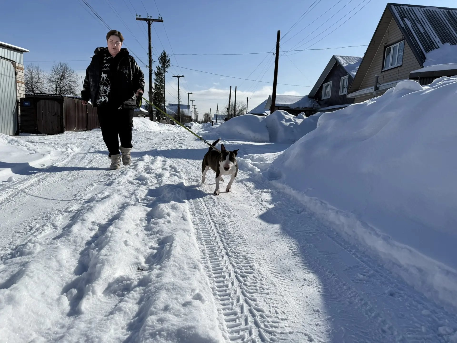 «Катунь 24» в MAX. Каждый четвёртый чипированный пёс в России живёт в Алтайском крае «Катунь 24» в MAX. Каждый четвёртый чипированный пёс в России живёт в Алтайском крае