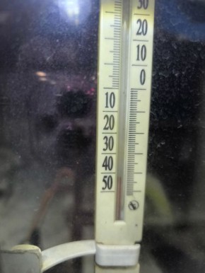 Вот так сегодня утром было во Власихе, делится наша подписчица Ольга