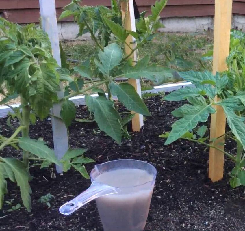 ��������� ���������: �� ��� ������?