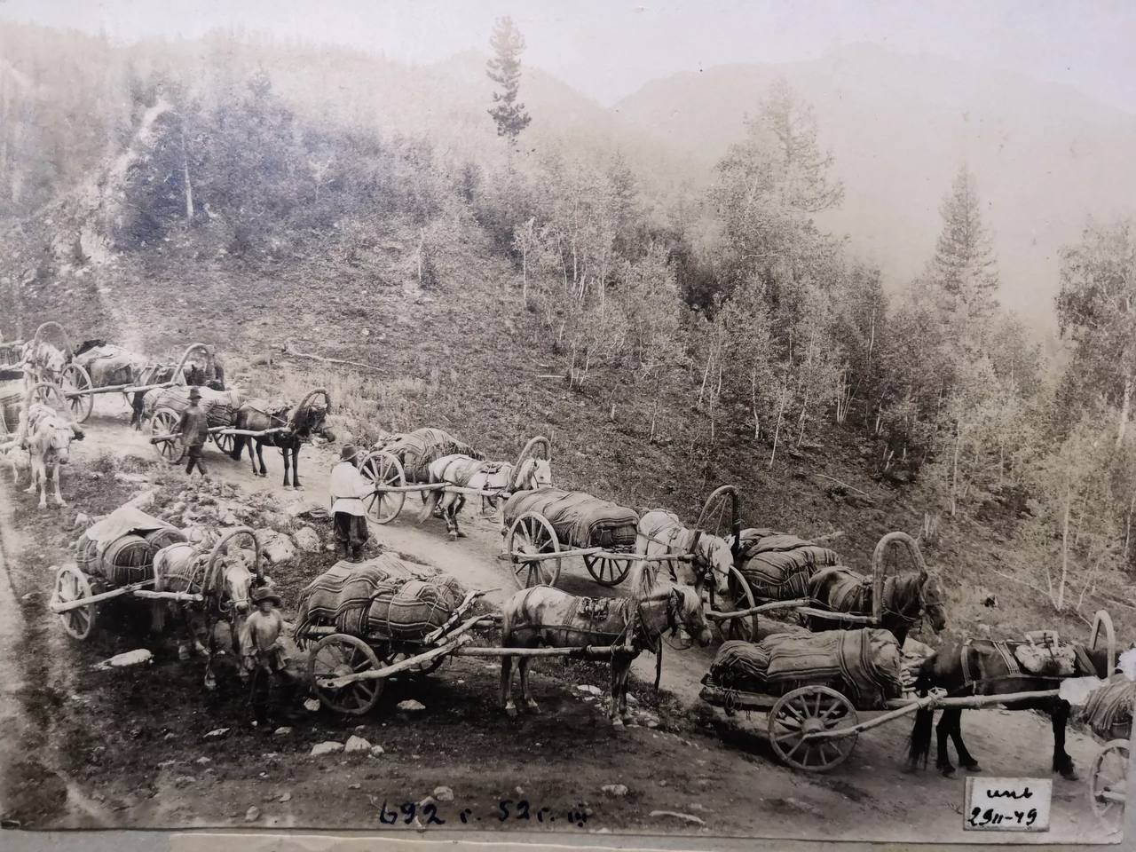 Чуйский тракт – одна из старейших и самых важных трасс Сибири Чуйский тракт – одна из старейших и самых важных трасс Сибири
