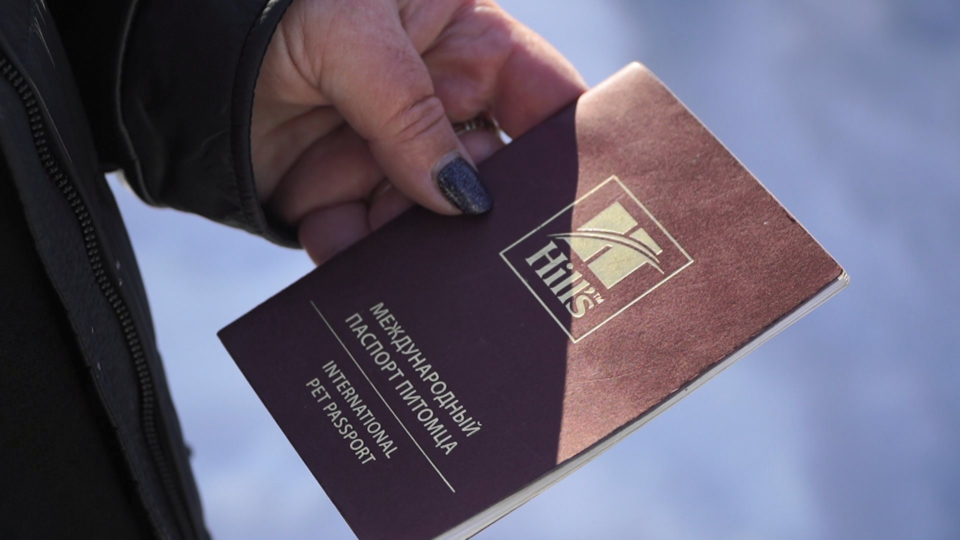 «Катунь 24» в MAX. Каждый четвёртый чипированный пёс в России живёт в Алтайском крае «Катунь 24» в MAX. Каждый четвёртый чипированный пёс в России живёт в Алтайском крае