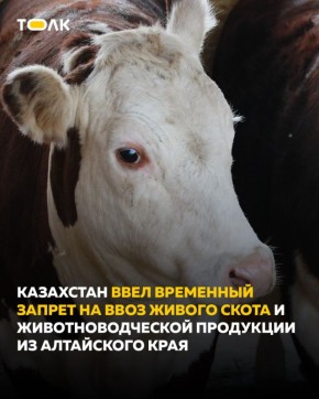 ��������� �������� ���� ���� � ����� �� ���������� ���� ��-�� ������� ������������