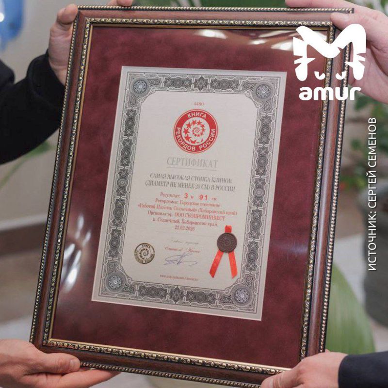 ����� �� ������ ������� ����� ������ ����� ������ � ����� �������� ������