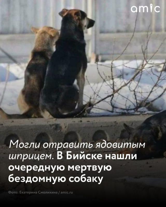 � ������ ���������� �������� ��������� ������, �������������� �� ������ ������� �������� ����� �������������