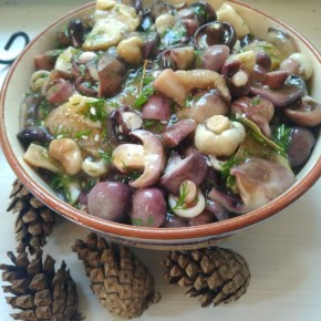 Быстрые маринованные грибочки