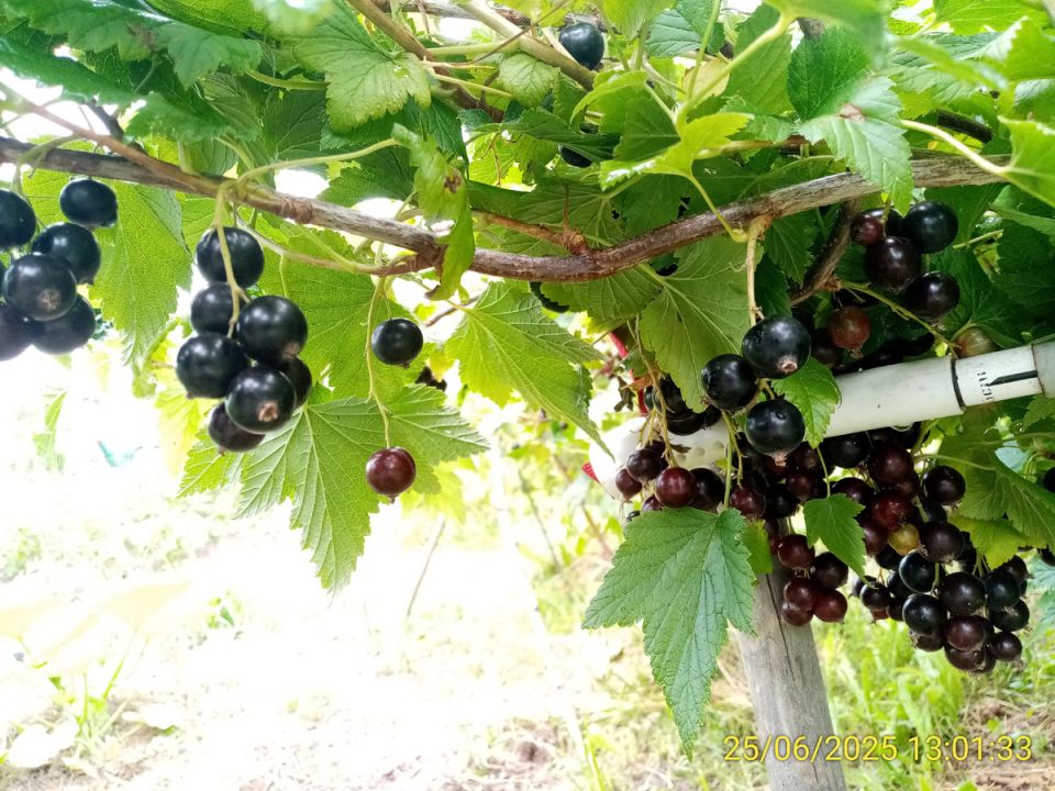 ������� ������� ������ ���������: ��� ��������� ��������� ������