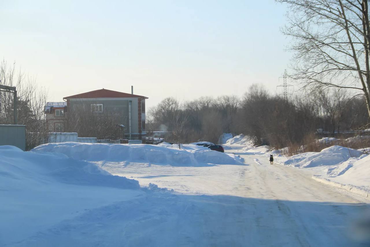 Дорогу по улице Малая Космонавтов хотят продлить до улицы Попова Дорогу по улице Малая Космонавтов хотят продлить до улицы Попова