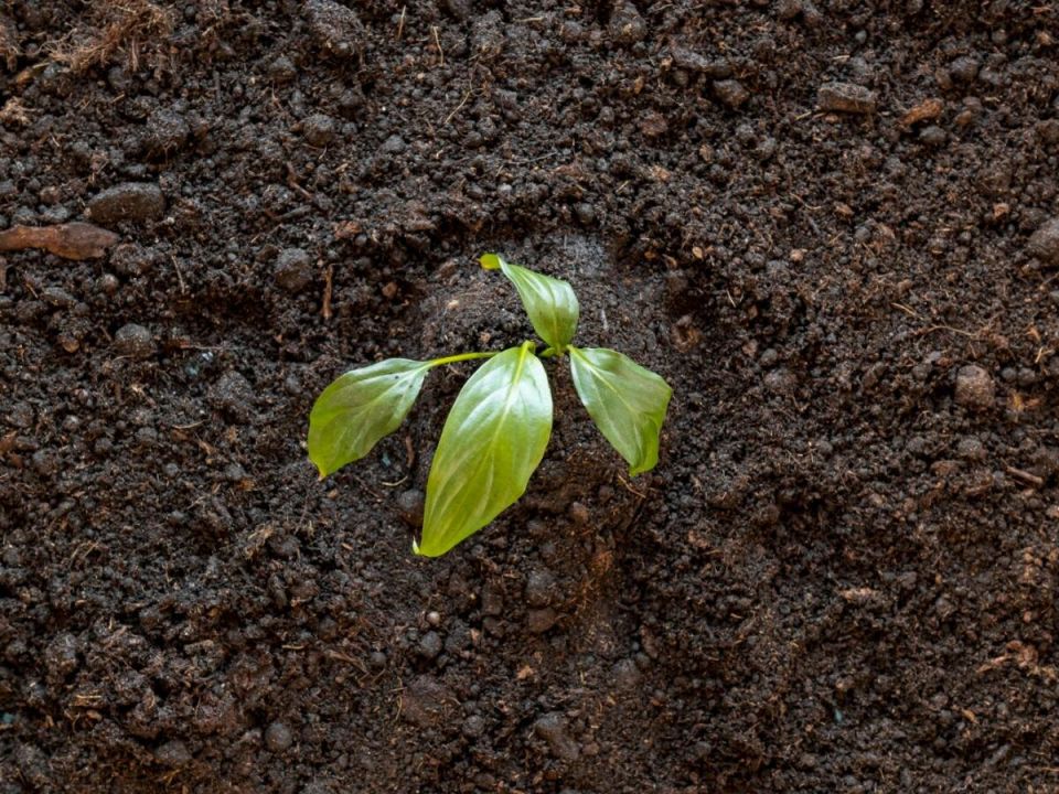 ��� ������� ����� ����� ������������ ���� ����� �� ���� �����