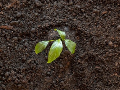 ��� ������� ����� ����� ������������ ���� ����� �� ���� �����