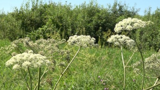 � 1 ����� �������� ������ ���������� ��������� �������� ��� ������� ������