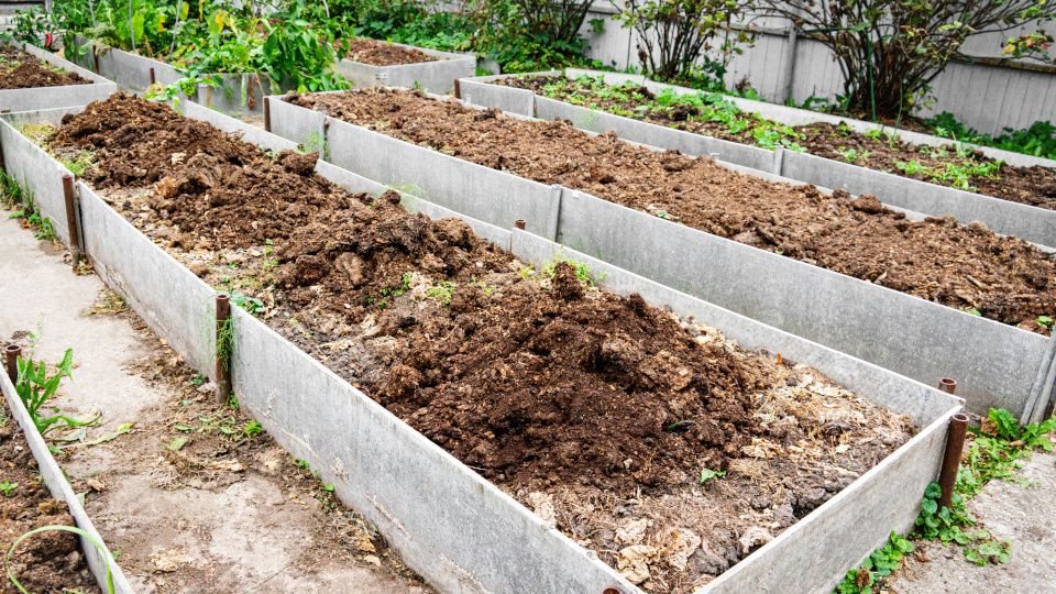 ������ ������: ������ ������� ������ � ������� �������