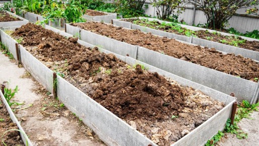 Теплые грядки: секрет раннего урожая и двойных сезонов