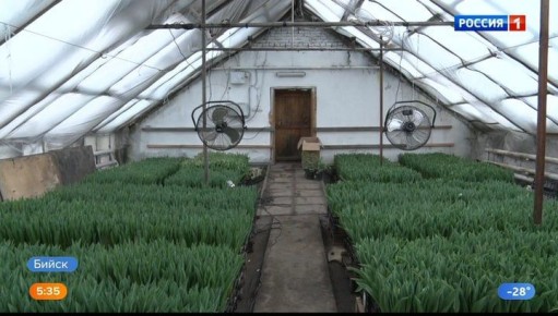 � �������� ������ �������� ���� ���������