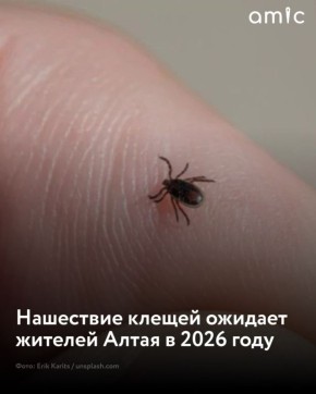 � ��������� ���� ��������� ��������� ������ � 2026 ����