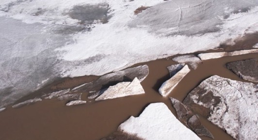 �������� ��������� ���������� ���������� ����������� � ��������