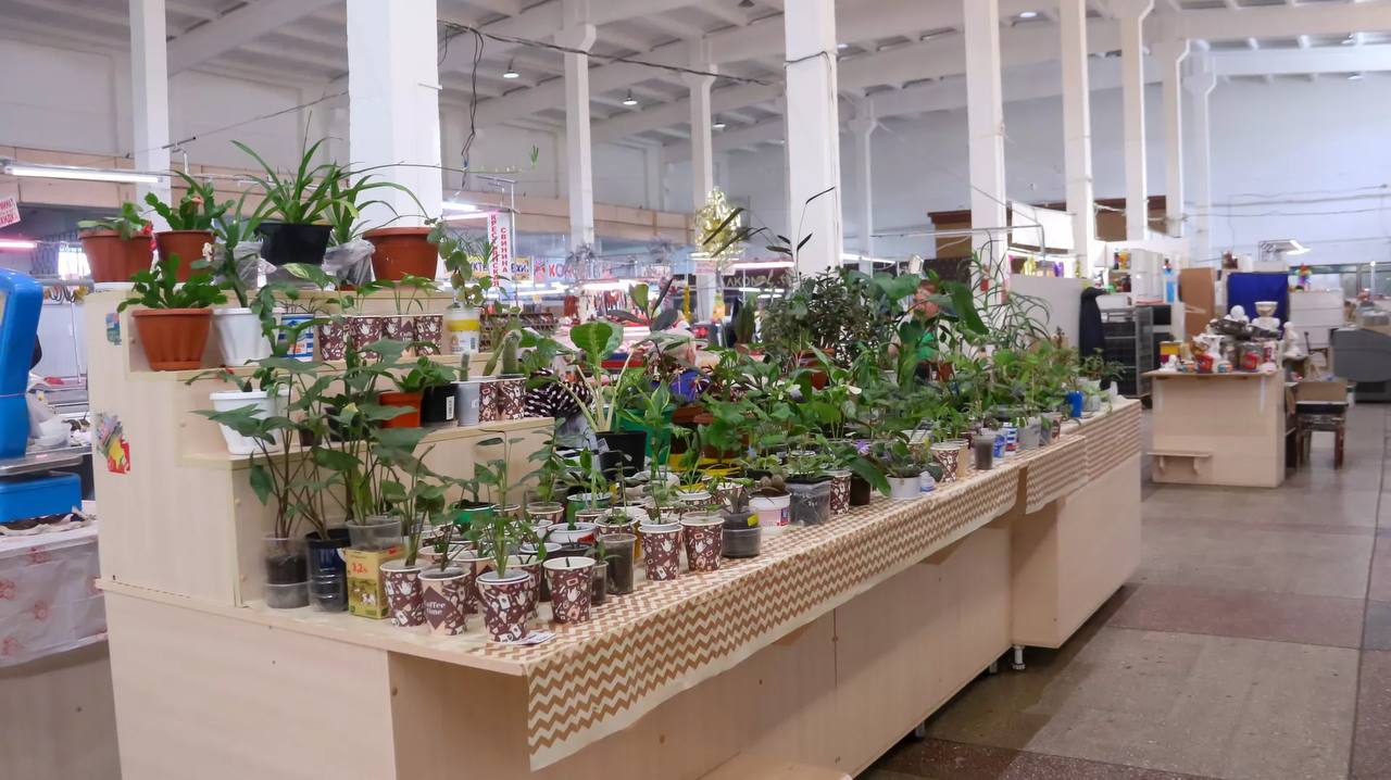 Крытый рынок в Барнауле продадут на 20 млн рублей дороже Крытый рынок в Барнауле продадут на 20 млн рублей дороже