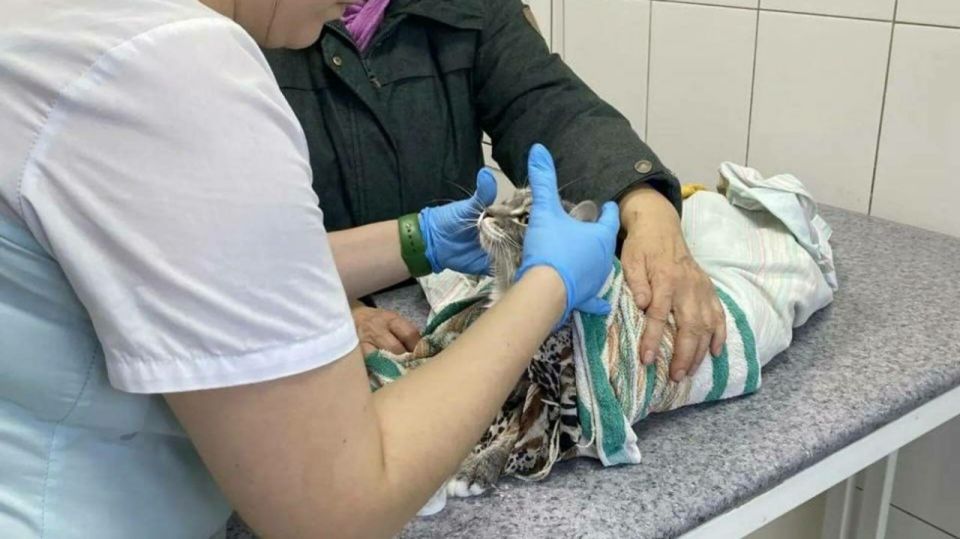 � ������ ���������� ������ ���� ����� ������ � �������