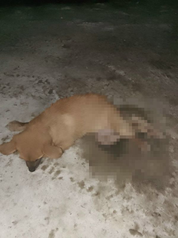 ���������� �� ���� � �������� ����� ����� ������� ������