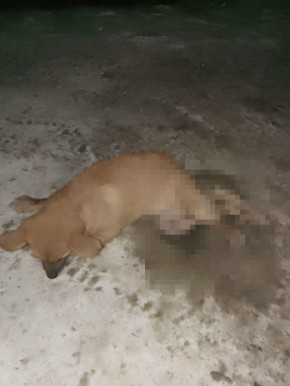 ���������� �� ���� � �������� ����� ����� ������� ������