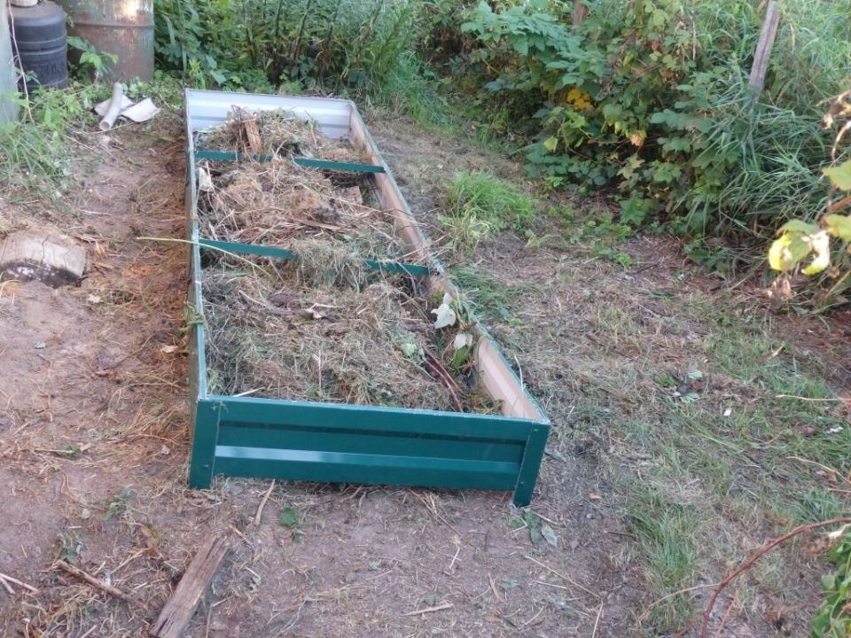 ��� ������� ��������� ������ ��� ������������� ������