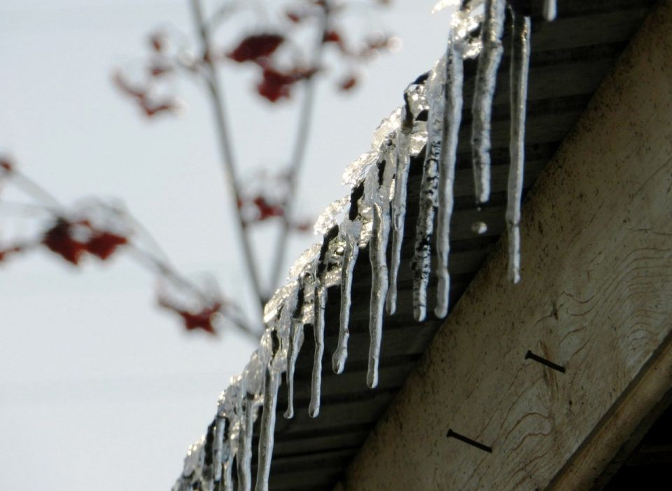 �������� ����������� �������� ��������� ������ ��� ��� ������ �������