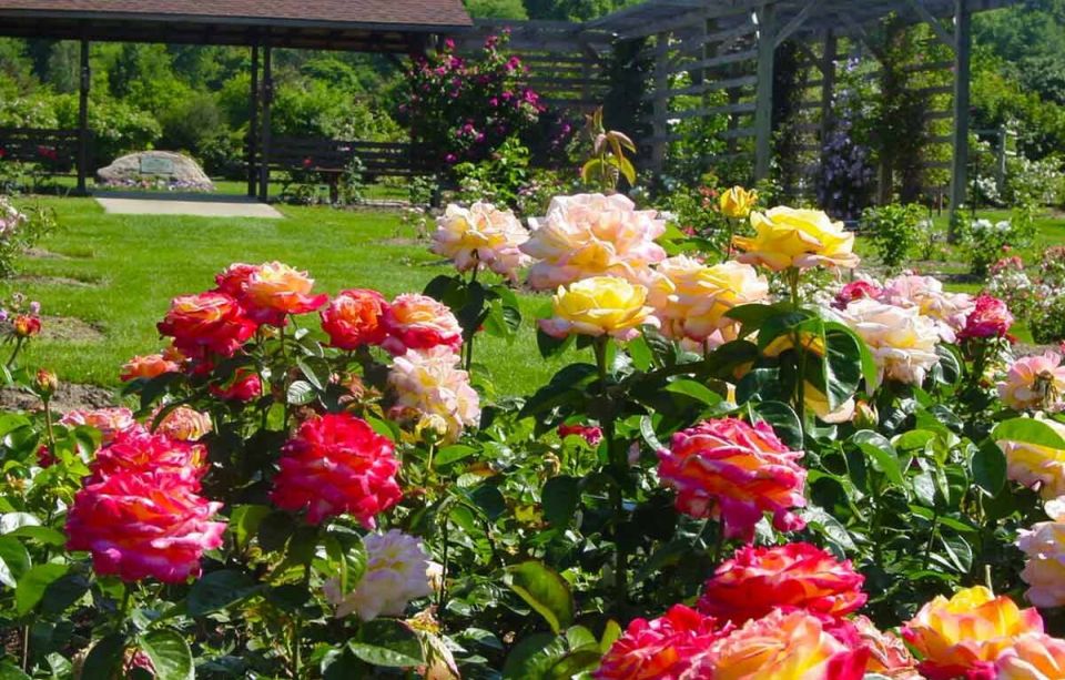 ��������� �������� ������� ����: �������� ������ ����� ��� ������ ����