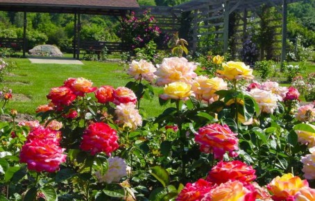 ��������� �������� ������� ����: �������� ������ ����� ��� ������ ����