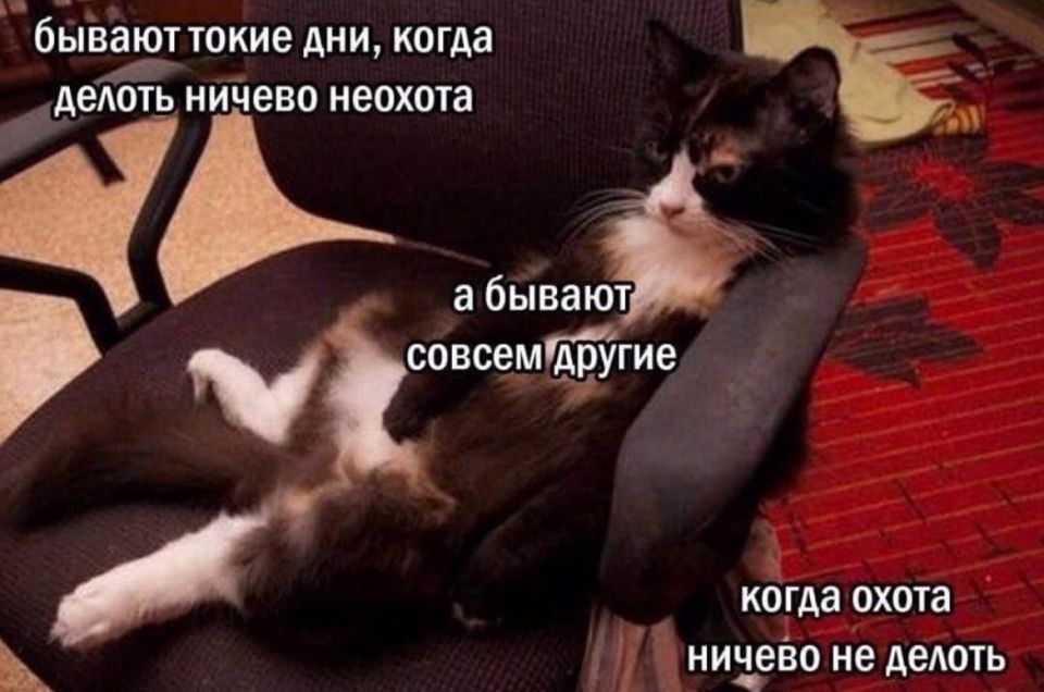 ������ ����, ��������� ����!�