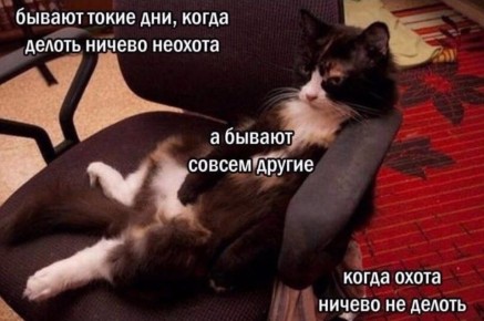 Доброе утро, Алтайский край!