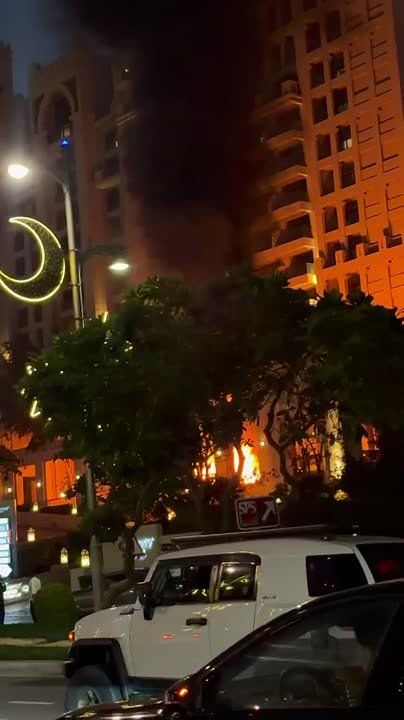 �������� ������ ����� � �������������� ����� Fairmont The Palm � ��������� ������ �����-��������, ��� ����� ��������������� ���������� �������