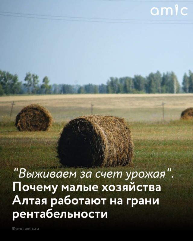 ������ ������������������ ���������� ���� ��� ���� ������� � ����� ��������